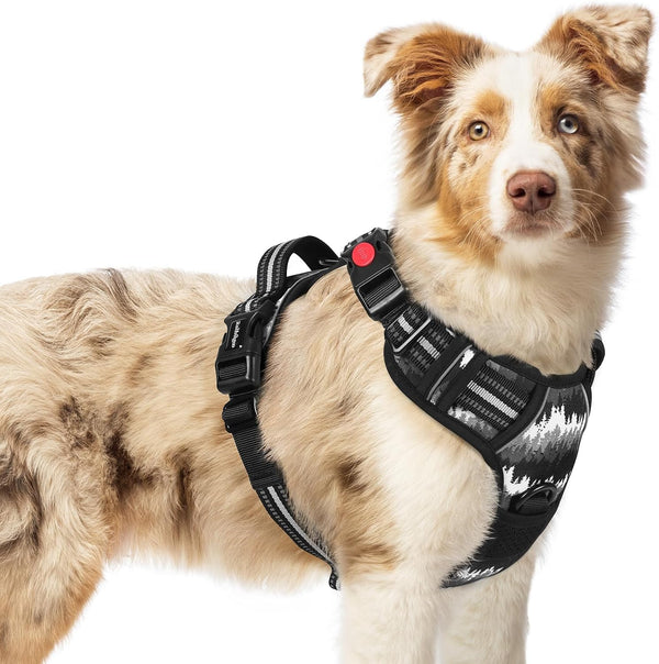 Rabbitgoo Dog Harness Medium Sized, Updated Easy on & off with 3 Buckles | No Pull No Choke, Walking with 2 Clips and Handle, Adjustable Soft Reflective, Blue, Medium10