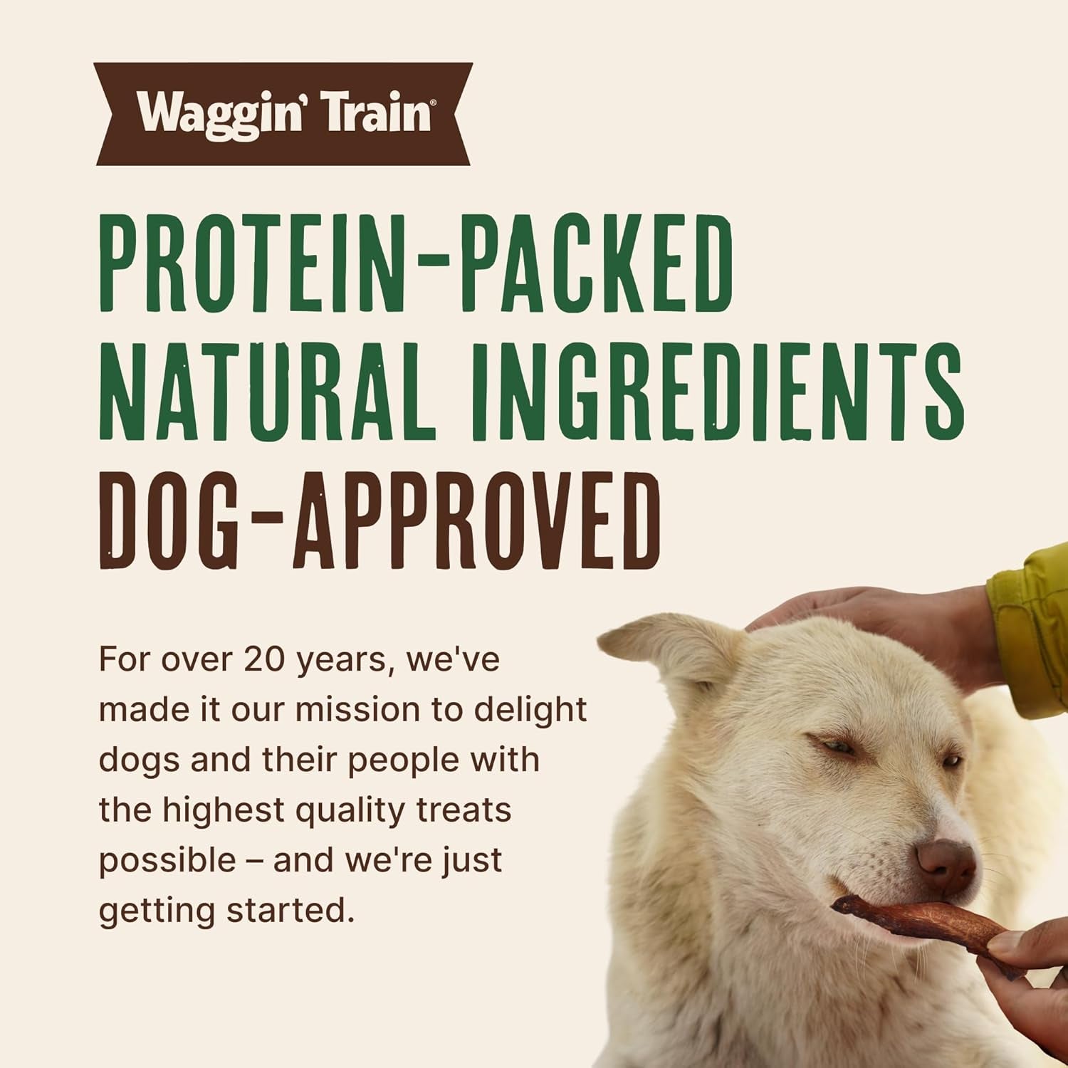 waggin-train-smoked-chicken-jerky-tenders-for-dogs-with-turmeric-and-human-grade-bone-broth-grain-and-corn-free-high-protein-premium-limited-ingredient-100-real-chicken-dog-treats-24-oz-pouch