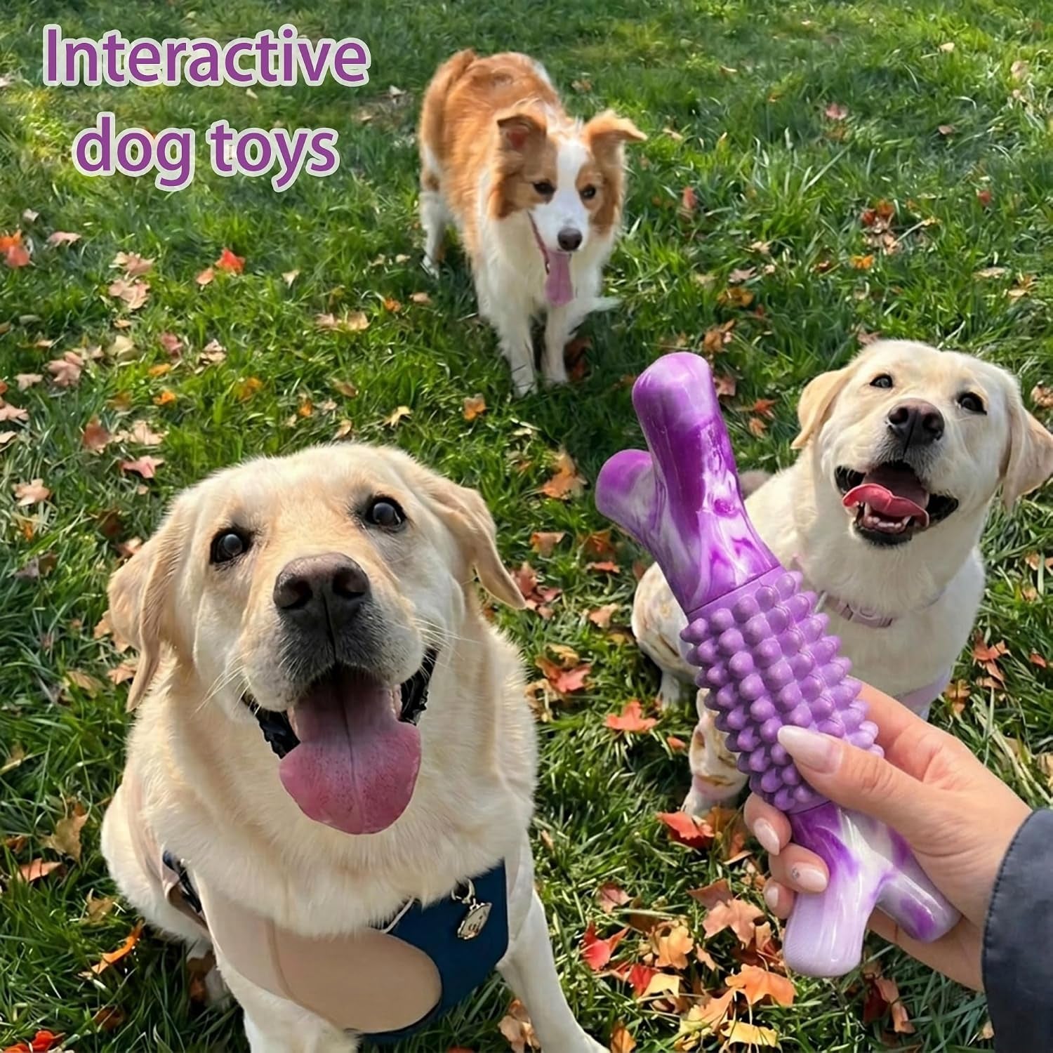 dog-toys-for-aggressive-chewers-tough-stick-chew-bone-durable-rubber-nylon-dog-bones-indestructible-dog-doys-for-medium-large-dogs-beef-flavor