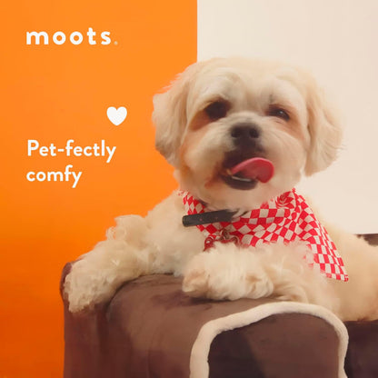 Moots Furry Pet Lounge, Pet Bed with 2 Pillows, Deluxe Sofa for Dogs, Easy to Coordinate, Stylish and Cleanable Dog Sofa, Couch - Charcoal, Large7