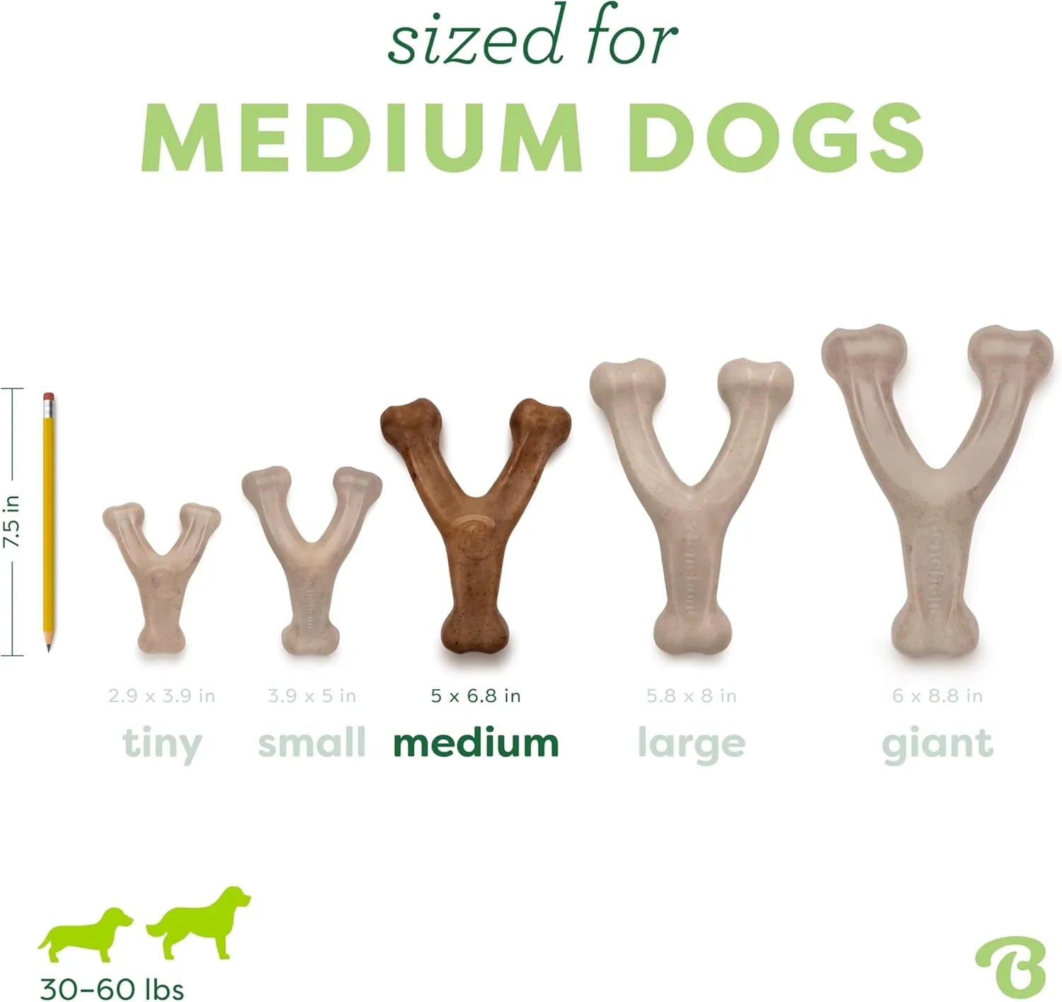 medium-dog-chew-toy-size-chart-for-30-60-lbs-pets-showing-tiny-to-giant-bone-shaped-options-with-pencil-scale