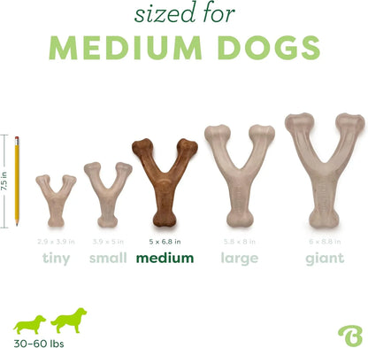 Medium dog chew toy size chart for 30-60 lbs pets, showing tiny to giant bone-shaped options with pencil scale4
