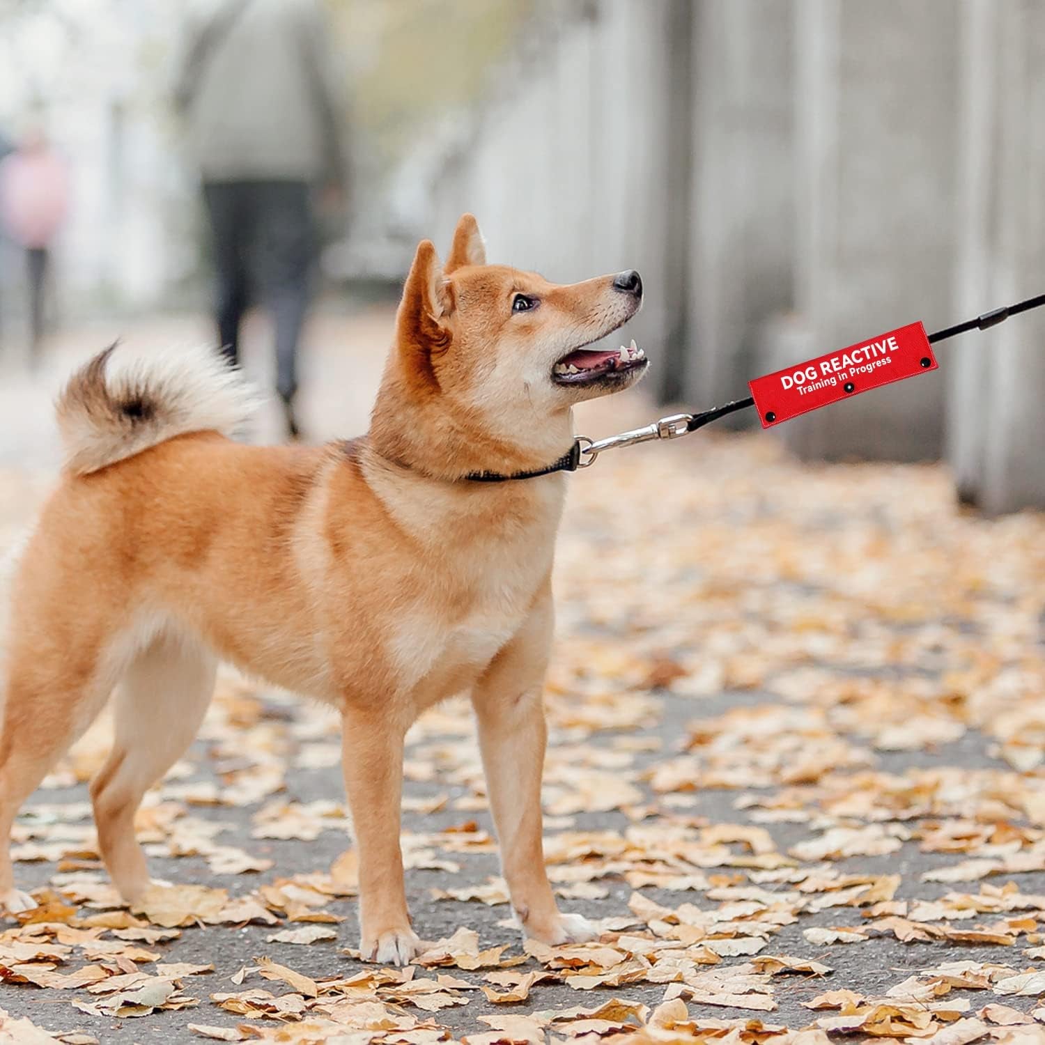 advivio-dog-reactive-training-in-progress-funny-red-dog-leash-sleeve-wrap-alert-hanging-id-patch-tag-for-pet-the-best-choice-for-daily-walking-and-training-fitness-pet-birthday-gift