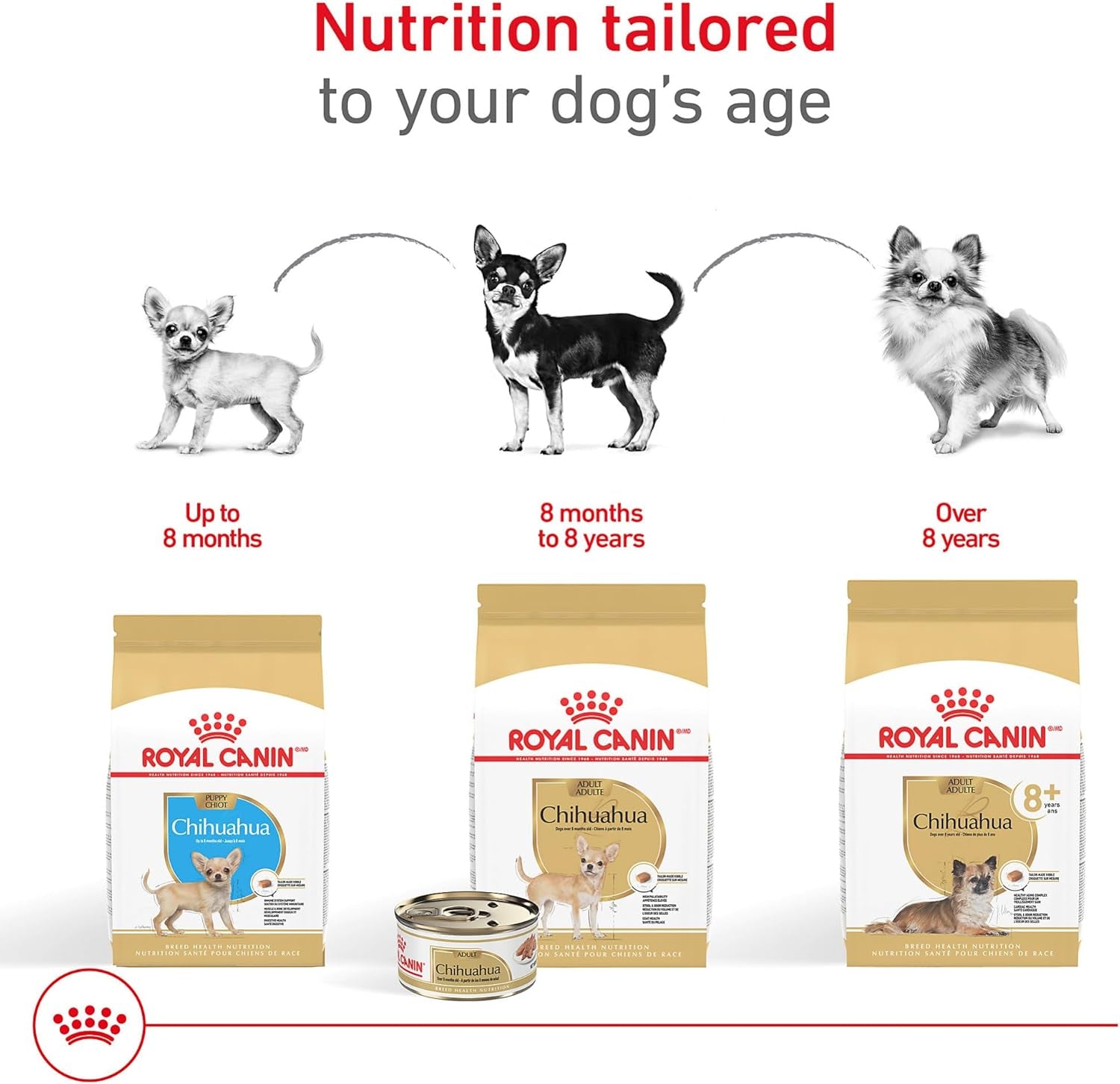 royal-canin-breed-health-nutrition-chihuahua-8-senior-dry-dog-food-2-5-lb-bag