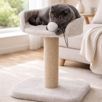 Trixie Mica 18-In Cat Tree for Kittens, Indoor Jute Scratching Post Cat Furniture, Padded Platform, Dangling Toy, Greige5