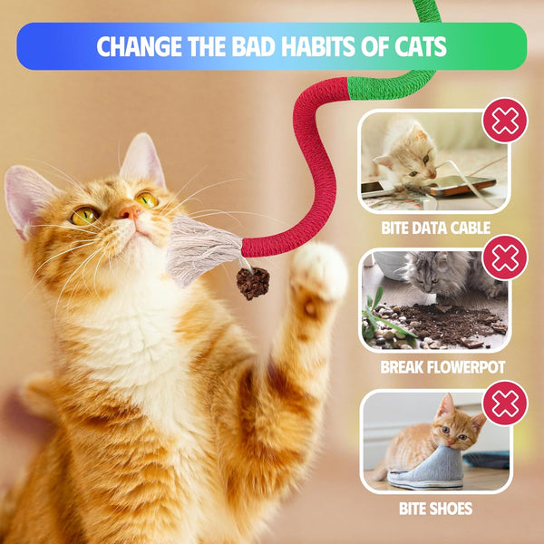 Silvervine Sticks Cat Chew Toys for Indoor Cats Dental Care Teeth Cleaning, Natural Kitten & Cat Teething Toys for Health, Catnip Toys Cat Chew Rope Suitable for All Breeds of Aggressive Chewers Cat6