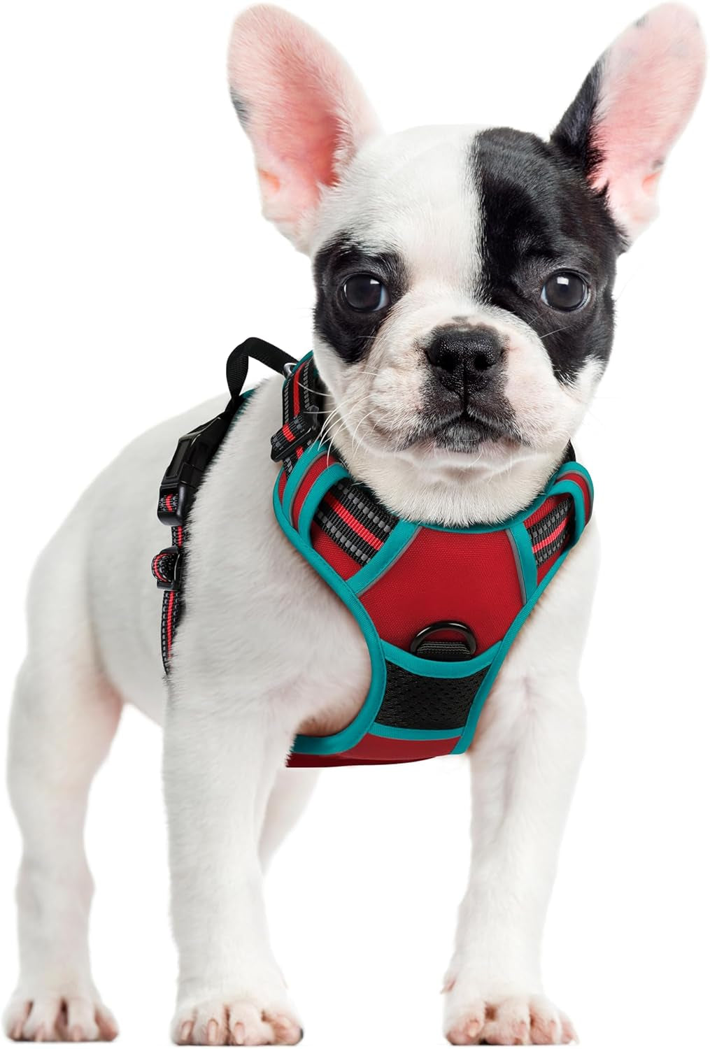 rabbitgoo-dog-harness-no-pull-for-large-dogs-with-2-leash-clips-pet-vest-no-choke-with-handle-adjustable-soft-padded-reflective-easy-control-for-walking-black-large
