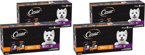 Cesar Mini-Pouch Wet Dog Food, Filet Variety Pack, 1.76 Oz, 40 Count | 3 Flavors: Rotisserie Chicken, Filet Mignon, Wood-Grilled Chicken, Real Chicken or Beef, Easy Peel-And-Serve, Protein-Packed16