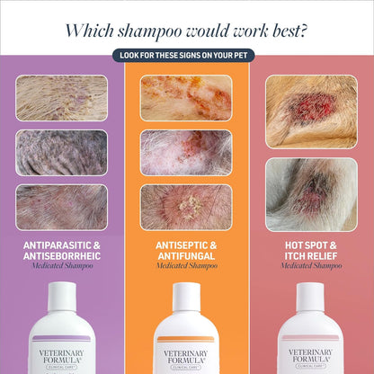Veterinary Formula Clinical Care Antiseptic & Antifungal Shampoo, 16 Oz | Medicated Formula Helps Alleviate Scaly, Greasy and Red Skin; Free from Parabens, Dyes and Soap4