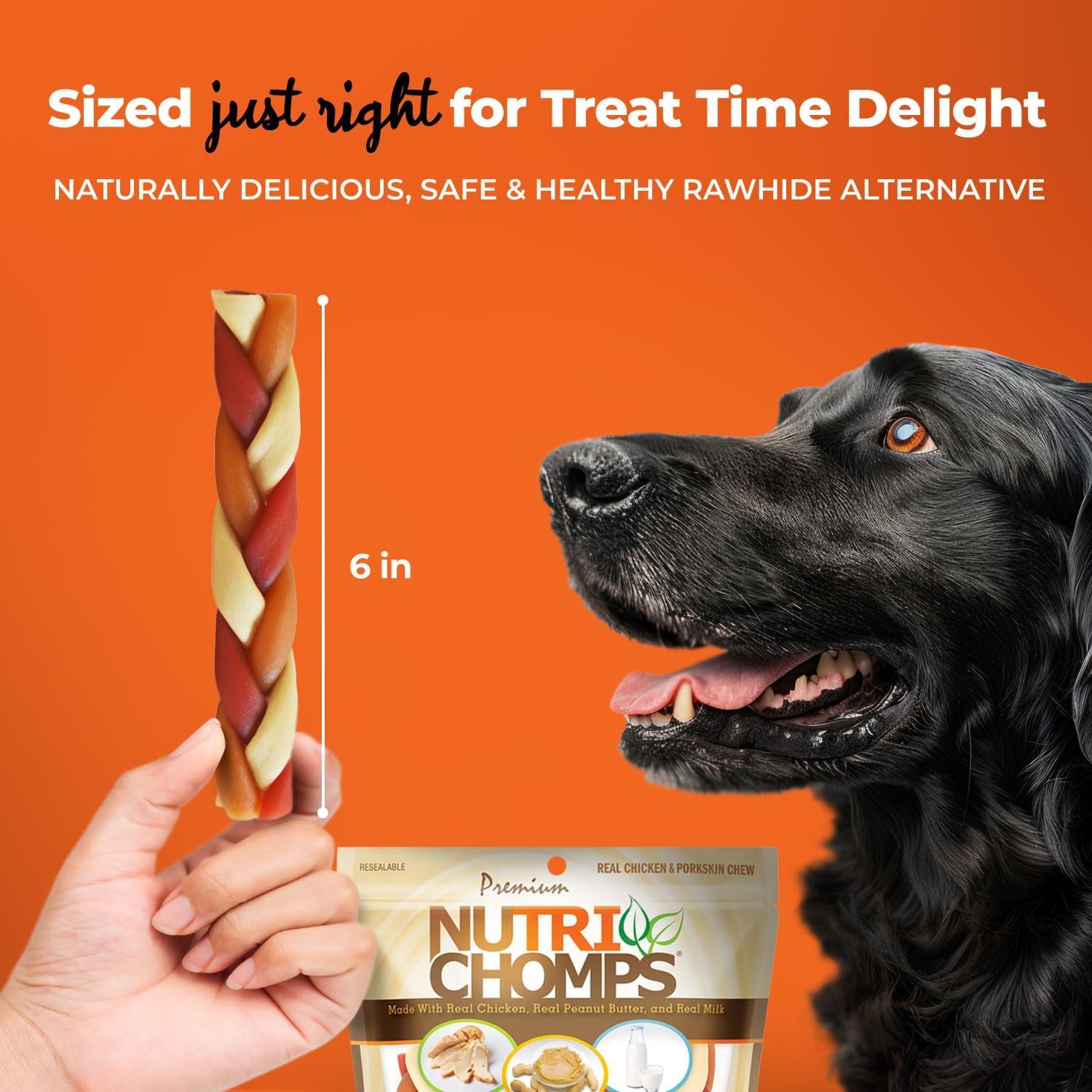 nutrichomps-rawhide-free-dog-chews-6-in-braids-chicken-pb-milk-10-ct-a-rawhide-free-chew-thats-gentle-and-easy-to-digest-made-with-the-real-wholesome-ingredients-dogs-love