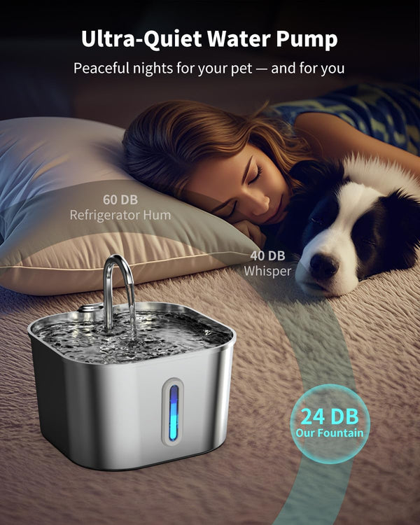 Stainless Steel Cat Water Fountain - 74Oz/2.2L Cat Drinking Fountain | Quiet Cat Fountain for Indoor Cats and Small Dogs, Automatic Pet Water Dispenser Keeps Fresh Water, Water Level Window5
