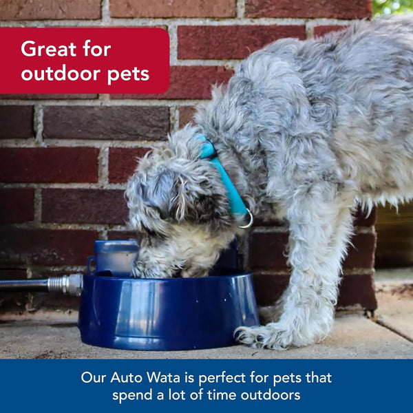 Coastal Pet Bergan Auto-Wata - Outdoor Dog & Cat Water Dispenser - Automatic Water Bowl for Pets - Made from Durable, Bpa-Free Plastic - Self-Watering Cat & Dog Bowl - Navy, 48 Ounces4