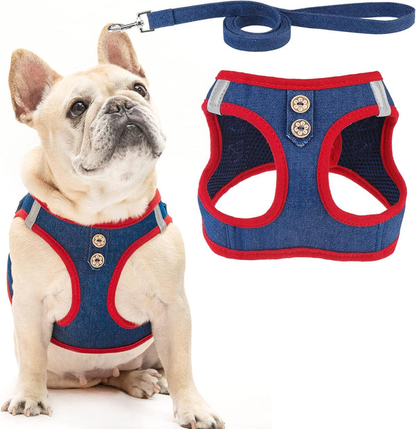 PUPTECK Dog Harness and Leash Set for Small Medium Dogs No Pull Step-In Soft Mesh Puppy Cat Vest Harnesses Reflective at Night, Green S35