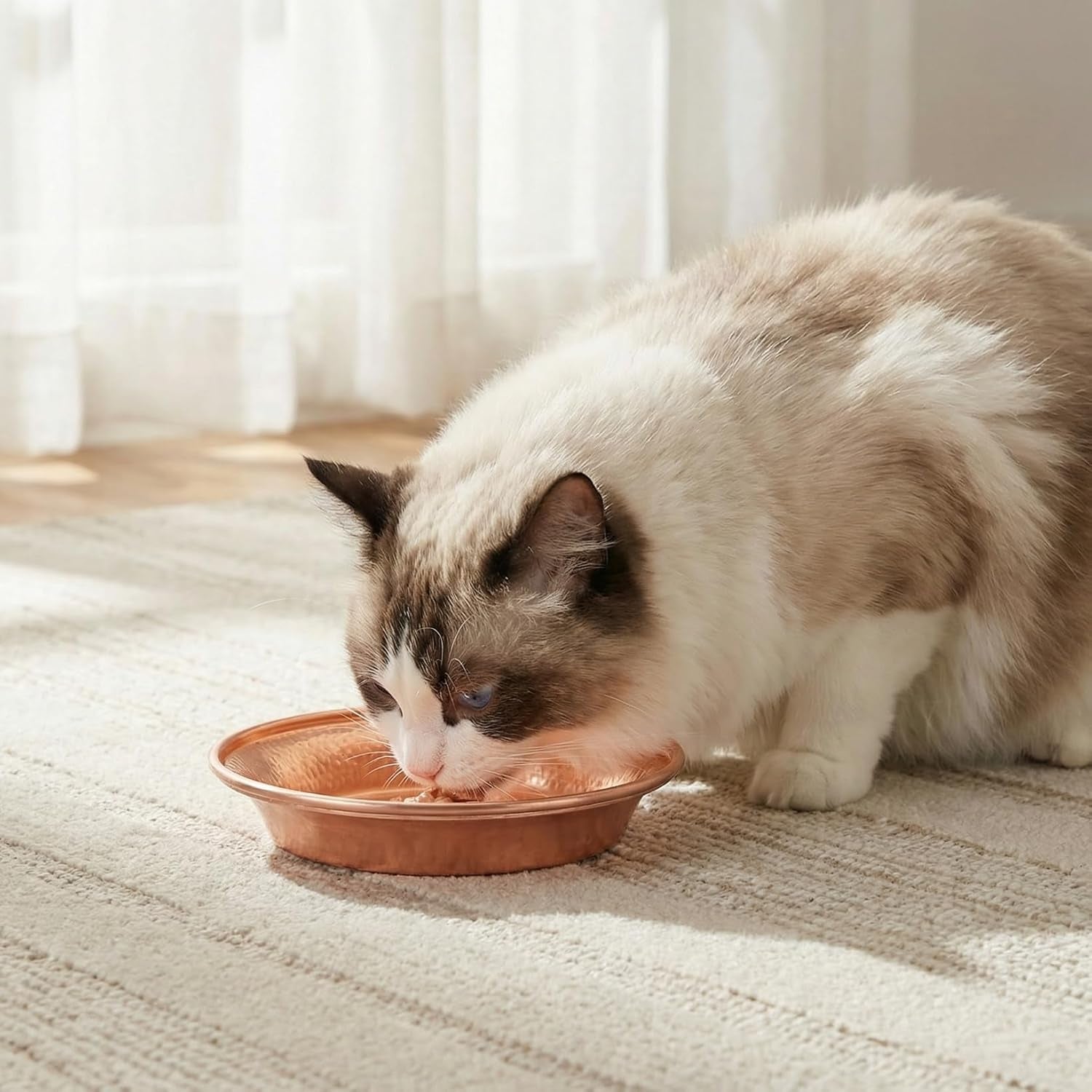 vicasky-copper-pet-bowl-5-inch-luxury-hammered-cat-and-dog-food-water-dish-pet-feeding-bowl-decorative-for-kittens-puppies