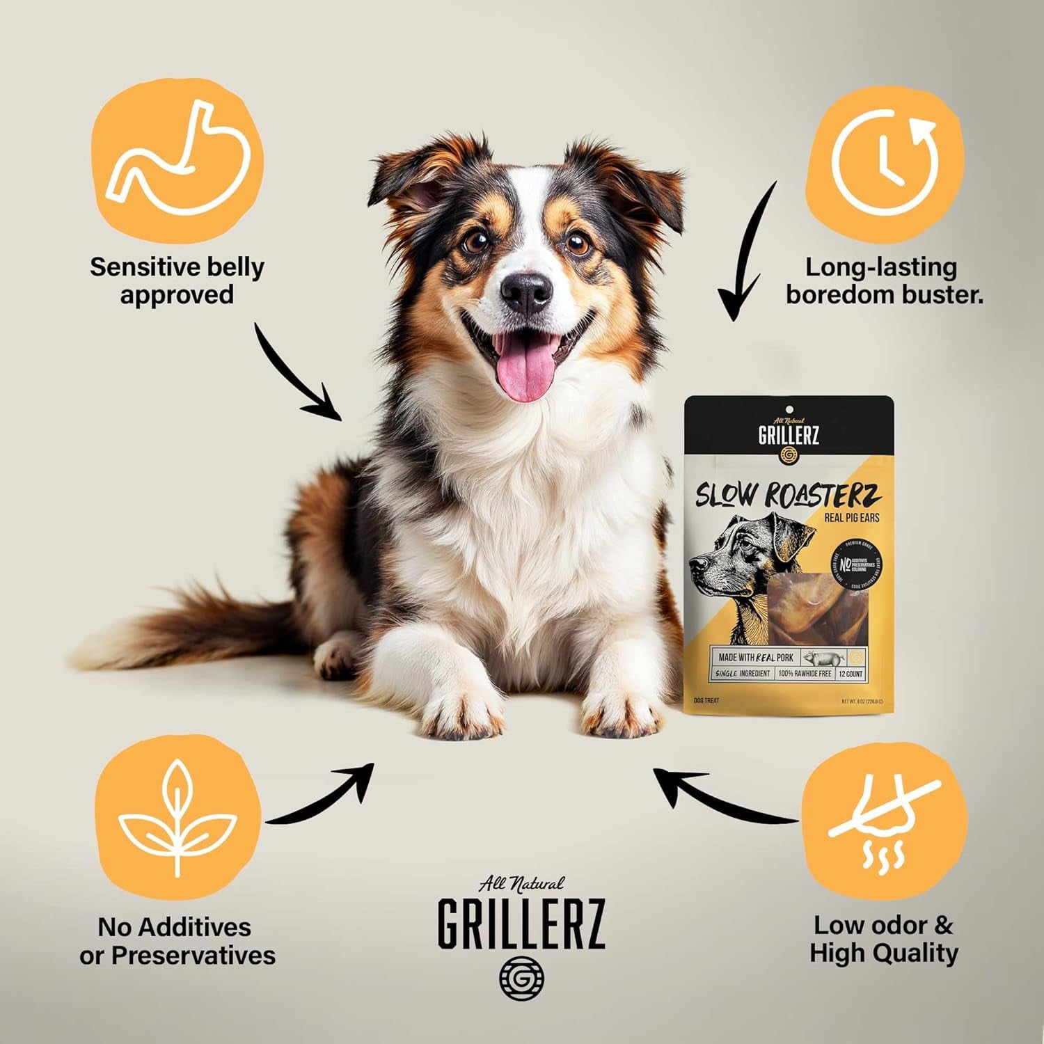 grillerz-real-pig-ears-rawhide-free-12-count-single-ingredient-all-natural-pig-ears-a-high-protein-easily-digestible-chew-dogs-love