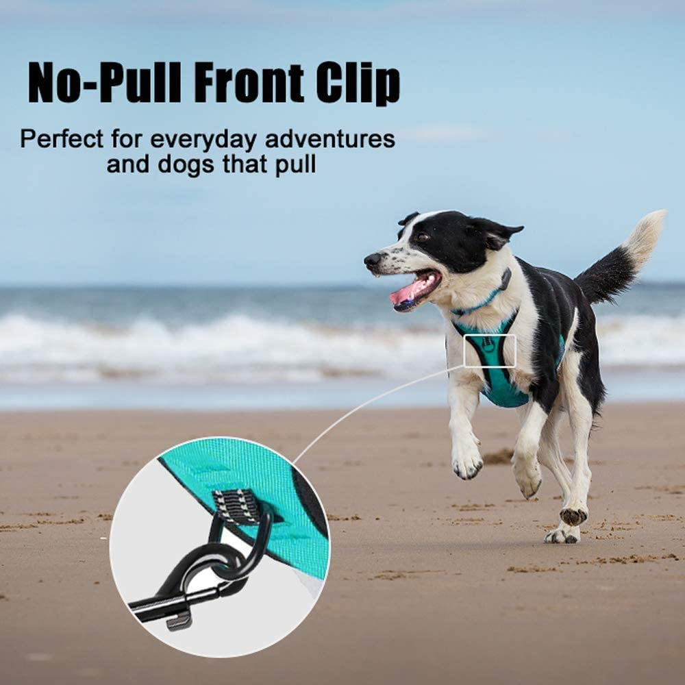 poypet-no-pull-dog-harness-reflective-comfortable-vest-harness-with-front-back-2-leash-attachments-and-easy-control-handle-adjustable-soft-padded-pet-vest-for-small-medium-large-dogs-mint-blue-m