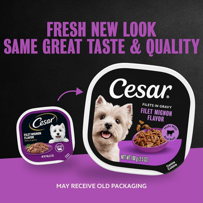 Cesar Filets in Gravy Wet Dog Food, Filet Mignon Flavor, 3.5 Oz, 24 Count | Real Beef, Easy to Digest, No Fillers, No Added Sugar, No Artificial Flavors, Slow-Cooked Tender Texture, Easy Peel Trays2