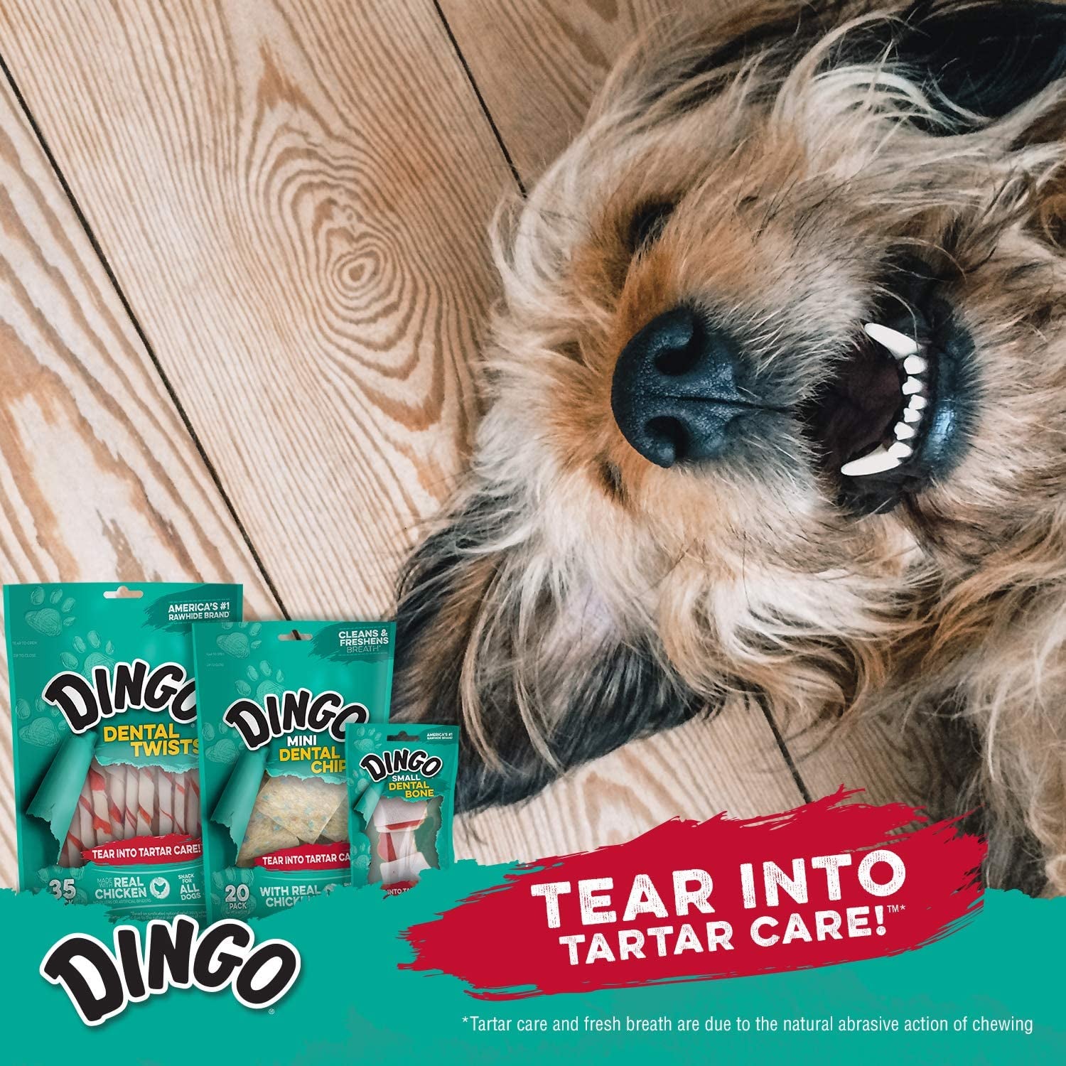 dingo-dental-sticks-dog-treats-with-real-chicken-parsley-48-count-real-parsley-freshens-breath-chewing-reduces-tartar-plaque-fully-digestible-for-adult-dogs