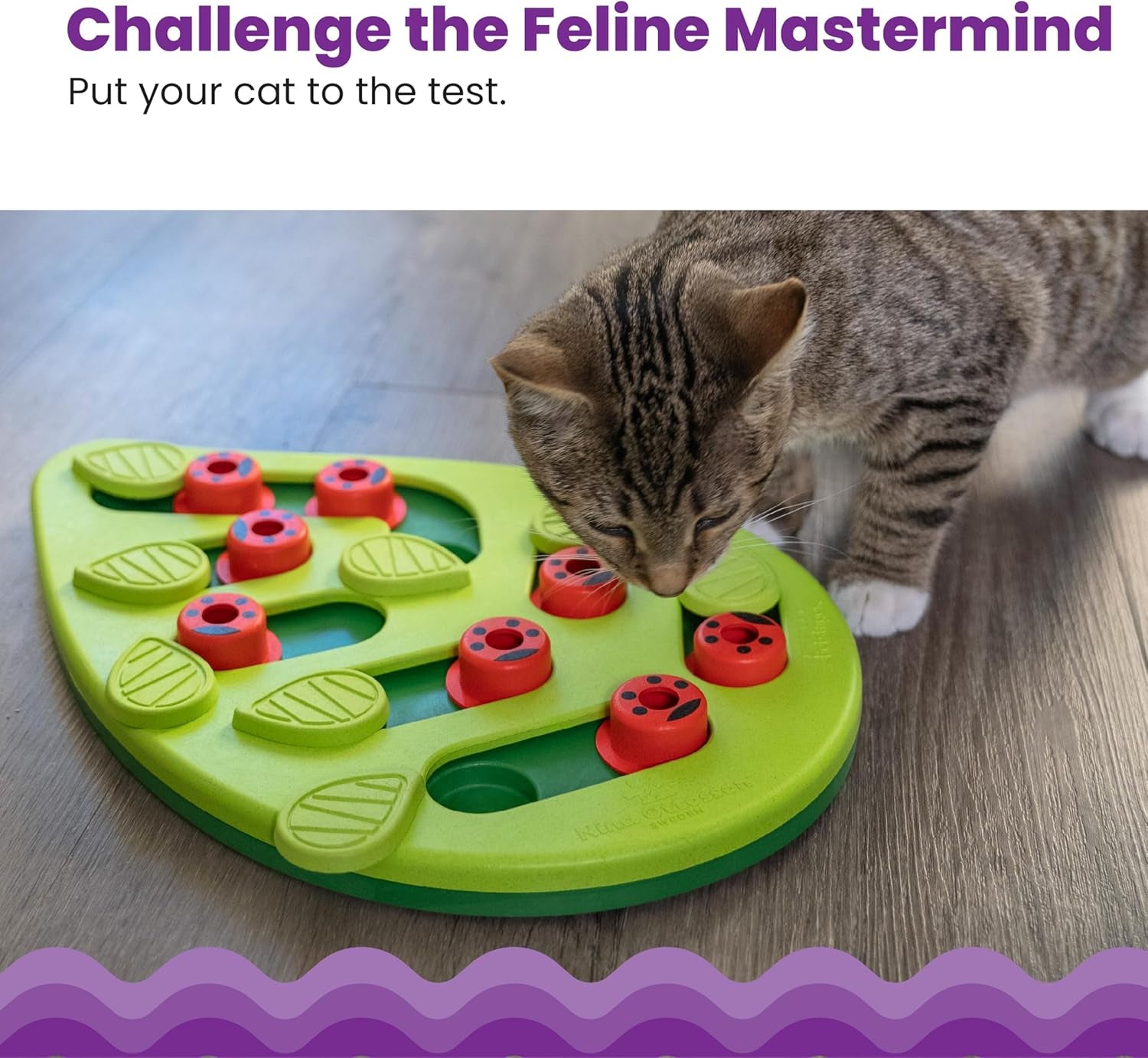 catstages-nina-ottosson-buggin-out-puzzle-play-cat-puzzle-feeder-interactive-treat-game-for-indoor-cats-level-2-slow-feeder-enrichment-toy-13-9-x-11-5