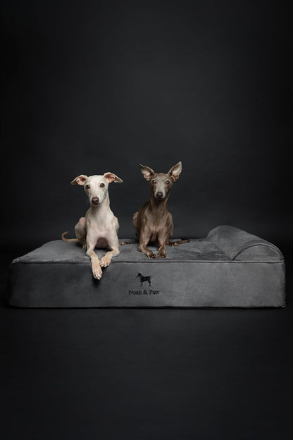 NOAH & PAW Large Dog Bed, 35X25X8.7 Inch, Orthopedic Dog Beds, Eggshell Memory Foam Infused with Cooling Gel, Water Resistant, Machine Washable, Includes Inner Cover (Velvet Collection)3