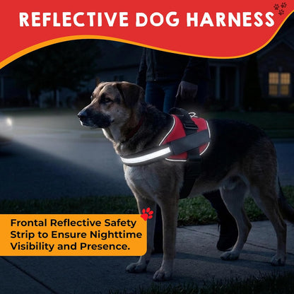 Service Dog Vest, ID Tag 50 ADA Information Cards - Harness with Patchs - M | MEDIUM (Chest: 21.5 - 26 Inch) Durable Metal Tag, 2-Sided Service Animal Cards. ESA Accessory Set6