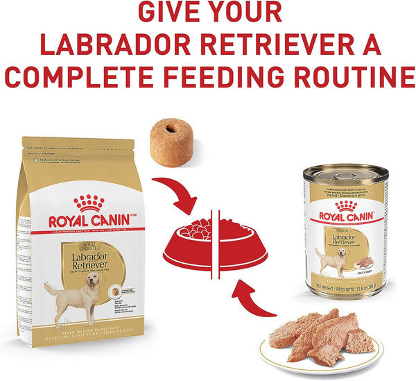 ROYAL CANIN Breed Health Nutrition Labrador Retriever Adult Dry Dog Food, 30 Lb Bag6