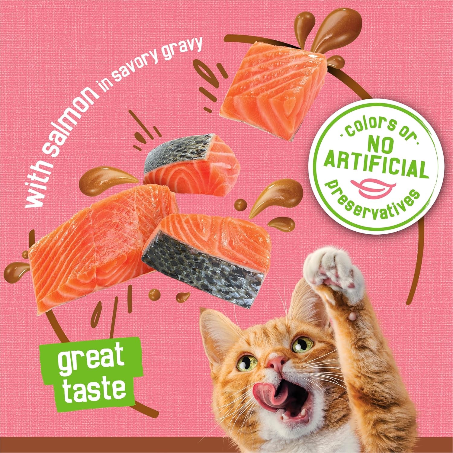 purina-friskies-wet-cat-food-extra-gravy-pate-with-salmon-in-savory-gravy-pack-of-24-5-5-oz-cans