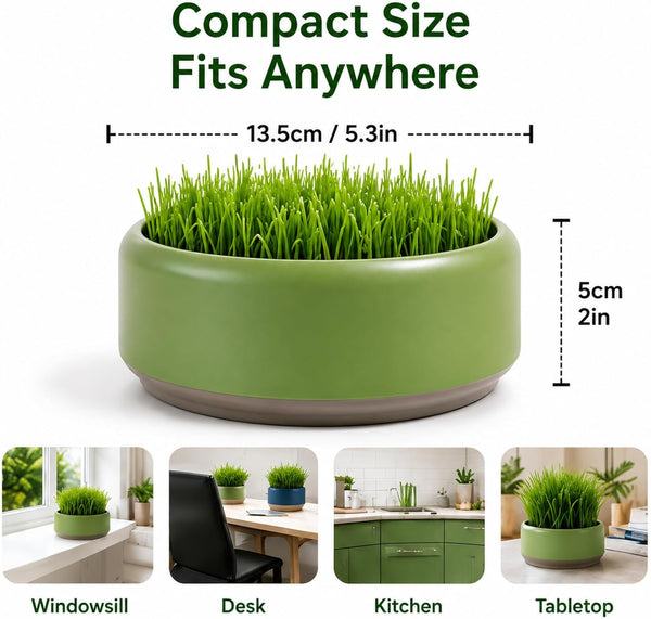 Komorebi Cat-Specific Reusable Hydroponic Herb Growing Box Set-Easy to Use-3 Colour (Seeds Not Included) (Green)5