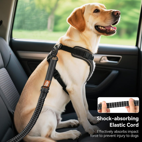 2Pcs Dog Seat Belt, Dog Car Seat Belt Bungee for Pet, Black | Buckle & Hook Latch, Adjustable Reflective Pet Vehicle Tether, 360° Swivel Lock Clasp5