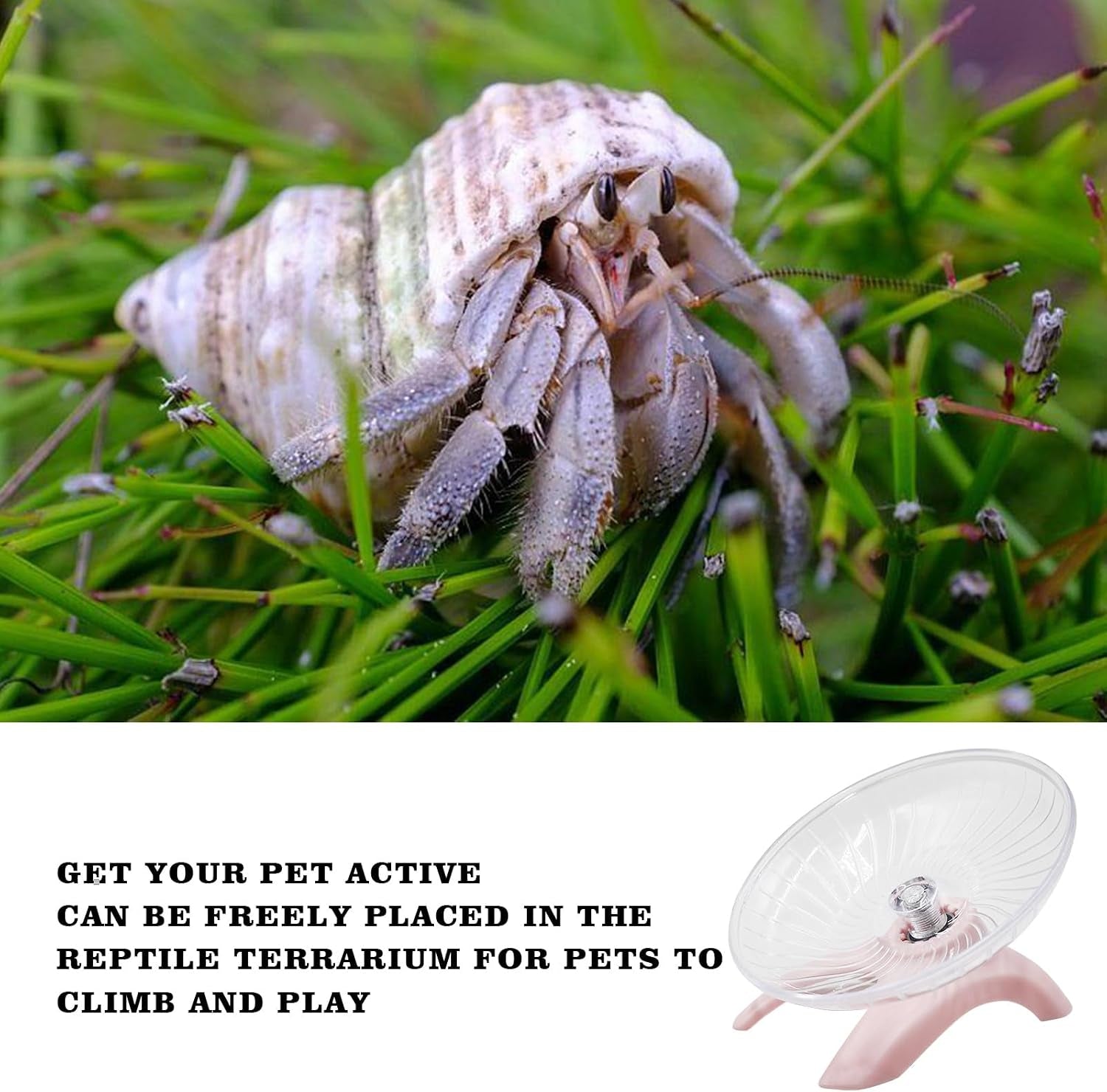 hermit-crabs-wheel-toy-hamster-running-wheel-toys-small-animals-cage-accessory-tank-accessory-suitable-for-hermit-crab-hamster-rat