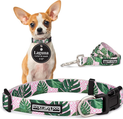Lucky Love Dog - Easy Click Buckle Dog Collar with Leash Set Combo, Durable & Comfortable for Male & Female Dogs, Pet Collar for Medium Dogs, Secure Fit - Blackbird Combo, Medium82