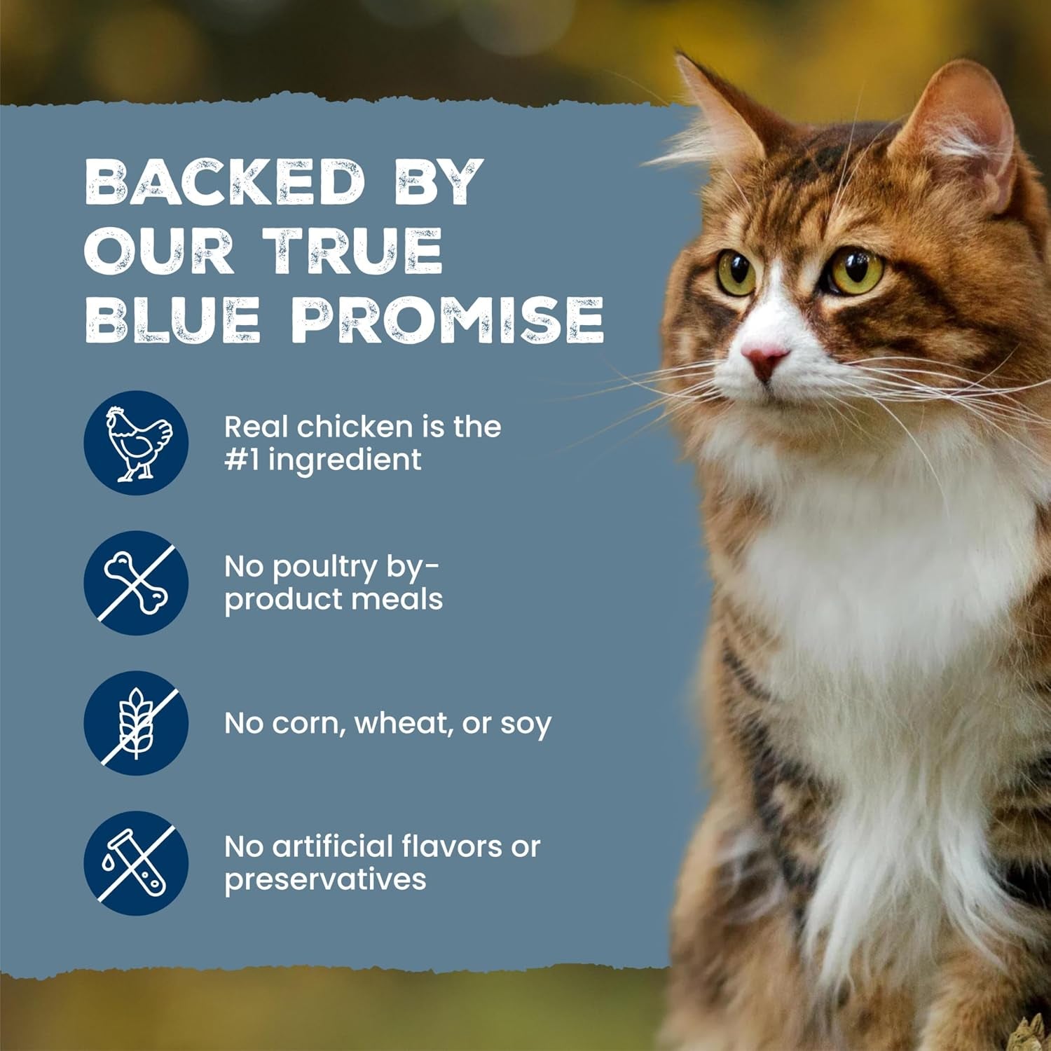blue-buffalo-wilderness-tasty-chicken-crunchy-cat-treats-grain-free-cat-treats-real-chicken-natural-ingredients-enhanced-with-vitamins-minerals-other-nutrients-great-for-training-tub-12-oz