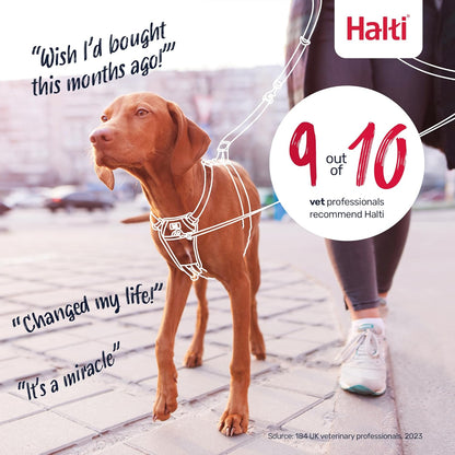Halti No Pull Harness (Size Medium) & Training Leash (Size Large, Black) | Bundle | Stop Your Dog Pulling on the Leash | Adjustable, Lightweight and Easy to Use | Suitable for Medium Dogs9