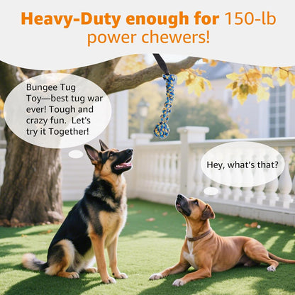 LOOBANI Outdoor Bungee Tug Toy, Interactive Tree Hanging Dog Toys, Black | Durable, Tug of War, Exercise Play Cord & Tether, Chew Rope Toy, Muscle Building & Bite Training, for Small to Large Dogs5