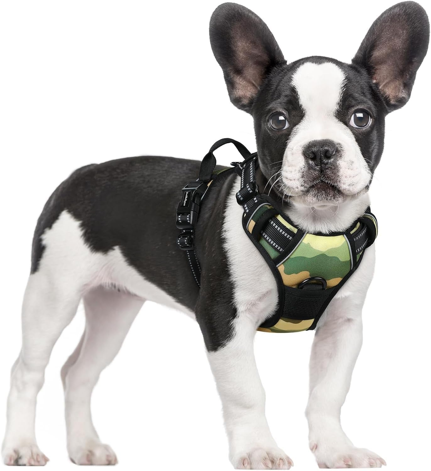 rabbitgoo-dog-harness-no-pull-for-large-dogs-with-2-leash-clips-pet-vest-no-choke-with-handle-adjustable-soft-padded-reflective-easy-control-for-walking-black-large