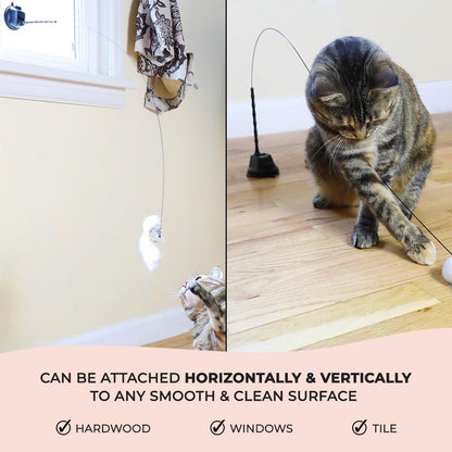 Whiskertons Interactive Bird Simulation Cat Toy Set, Interactive Cat Toys for Indoor Cats, Cat Feather Toy, Self-Holding Suction Base, 5 Replacement Birds, Feathers & Bells, Realistic Bird Impression4