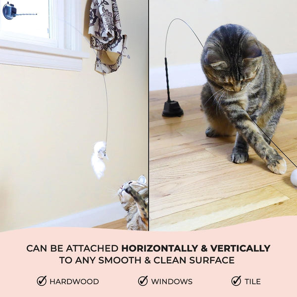 Whiskertons Interactive Bird Simulation Cat Toy Set, Interactive Cat Toys for Indoor Cats, Cat Feather Toy, Self-Holding Suction Base, 5 Replacement Birds, Feathers & Bells, Realistic Bird Impression4