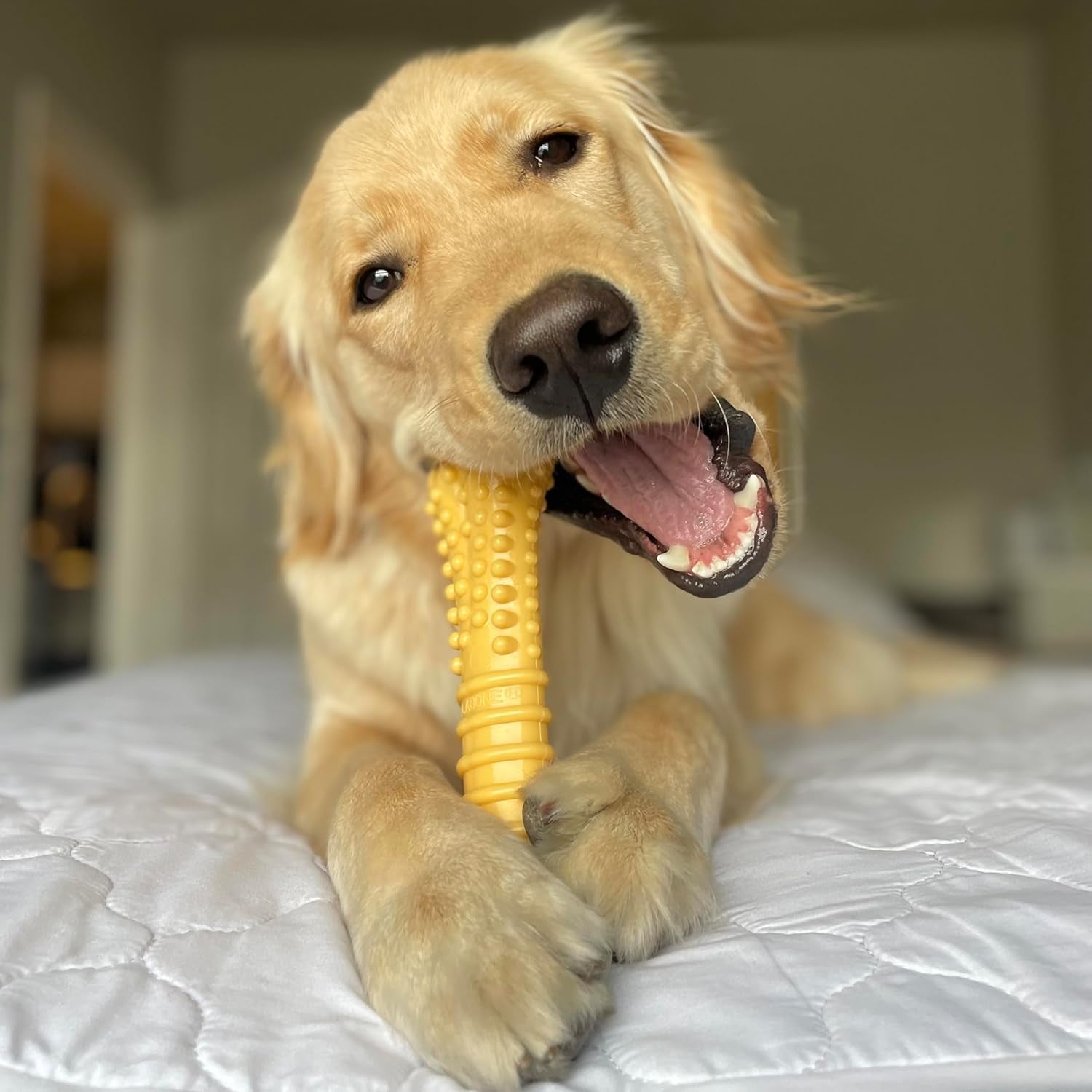 nylabone-power-chew-customer-favorites-dog-chew-toys-3-count-large-flavor-medley-peanut-butter-and-beef-flavor-durable-dog-toys-for-aggressive-chewers-for-large-breeds-up-to-50-lbs