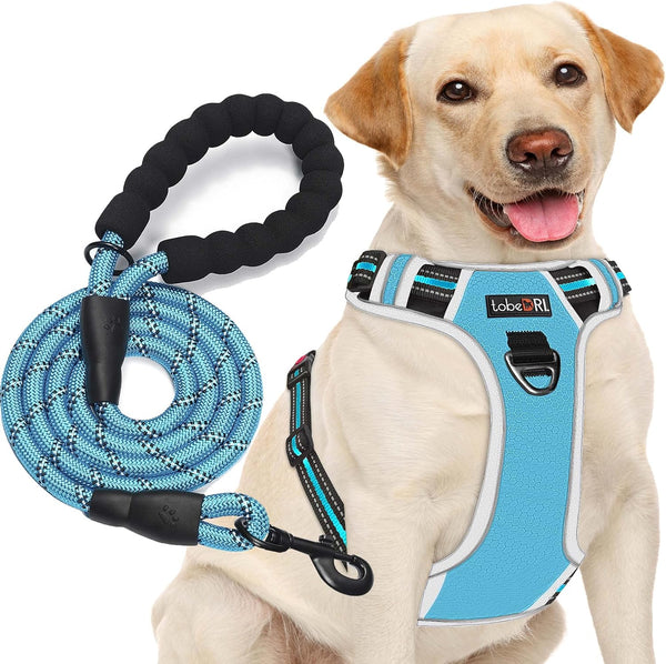 Tobedri No Pull Dog Harness Adjustable Reflective Oxford Easy Control Medium Large Dog Harness with a Free Heavy Duty 5Ft Dog Leash, Blue, M9