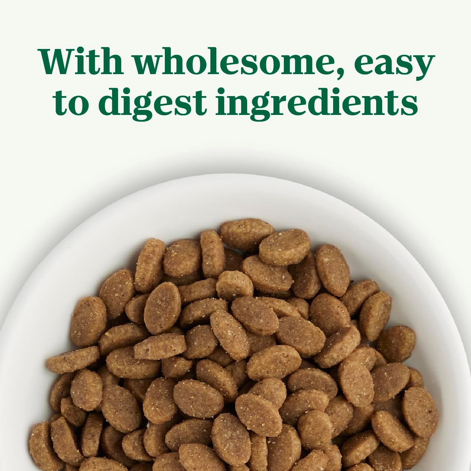 nutro-wholesome-essentials-sensitive-stomach-dry-cat-food-chicken-5-lb-real-chicken-1-ingredient-easily-digestible-omega-6-for-skin-coat-no-corn-wheat-soy-no-artificial-additives