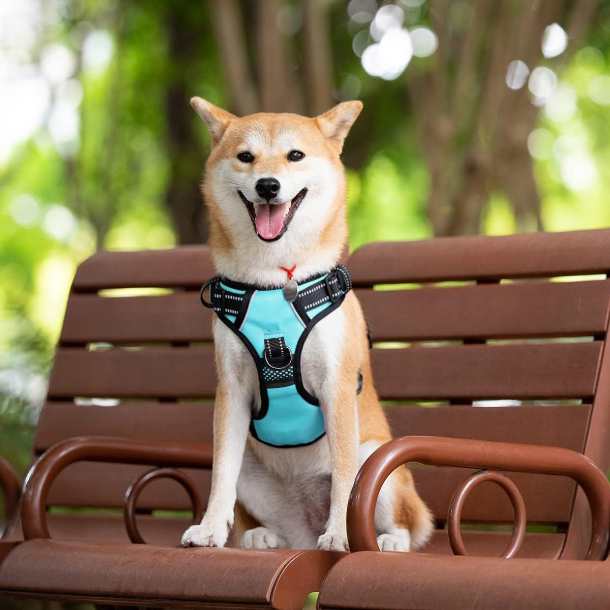 poypet-no-pull-dog-harness-with-4-snap-buckles-reflective-with-front-back-2-leash-hooks-and-an-easy-control-handle-no-need-go-over-dog-s-headmint-blue-m