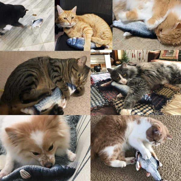 Tocirelo Cat Toys Flopping Fish with Catnip, Moving Cat Toy Interactive for Indoor Cats, Kitten Kicker Floppy Dog Toy, 11" Electric Realistic Plush Wiggle Fish for Kitty Exercise7