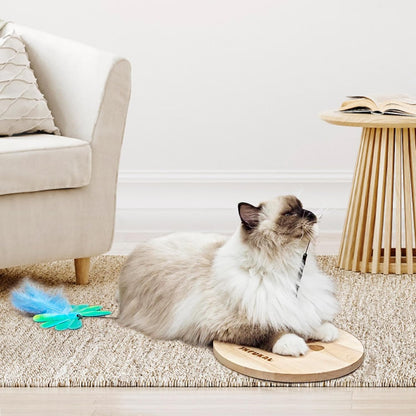 JXFUKAL Interactive Cat Toy, Automatic Cat Wand Toy with Stable Wooden Base, 2 PCS Detachable Cat Teaser, 5PCS Refills Replacement & Hanging Elastic String, Kitty Kitten Toys Feather Spring Bird Toy8