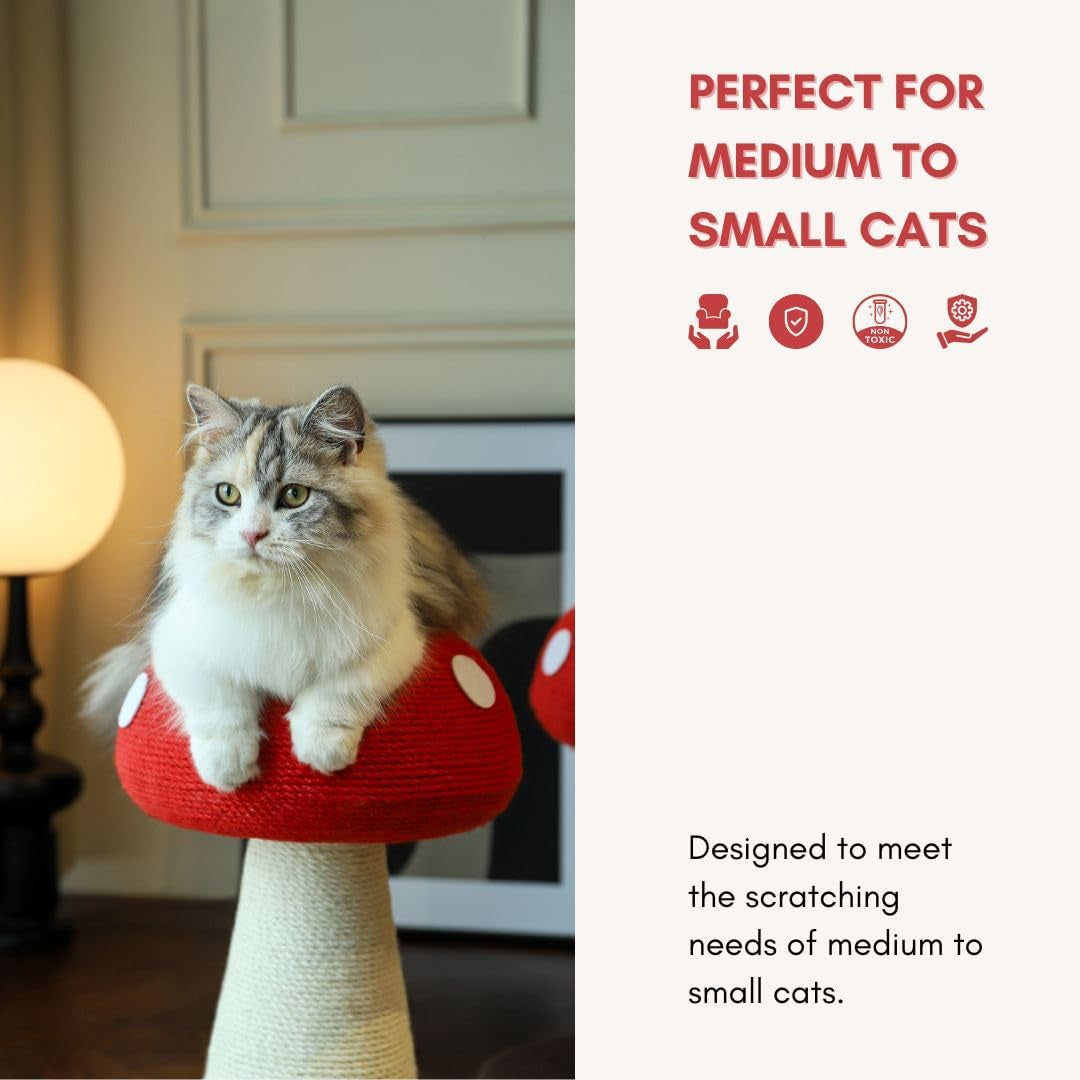mushroom-cat-scratching-post-unique-design-sisal-wrapped-ideal-for-medium-and-small-cat-cat-scratcher-cute-with-100-sisal-covered-scratching-post