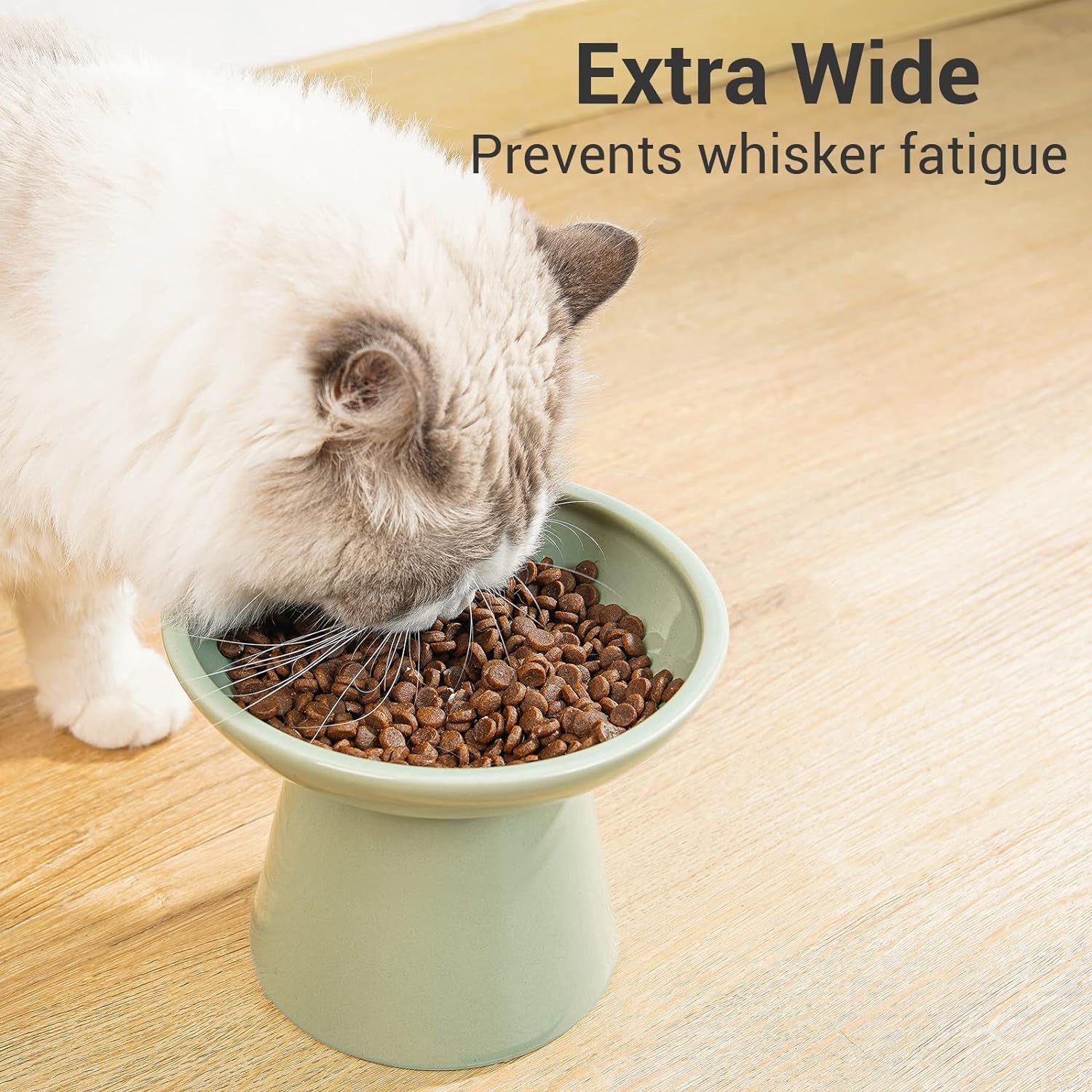 ceefu-extra-wide-elevated-ceramic-6-2-shallow-cat-food-bowl-cat-dish-for-whisker-fatigue-relief-5-height-for-easy-feeding-lead-cadmium-free-durable-raised-cat-bowl-sage-green