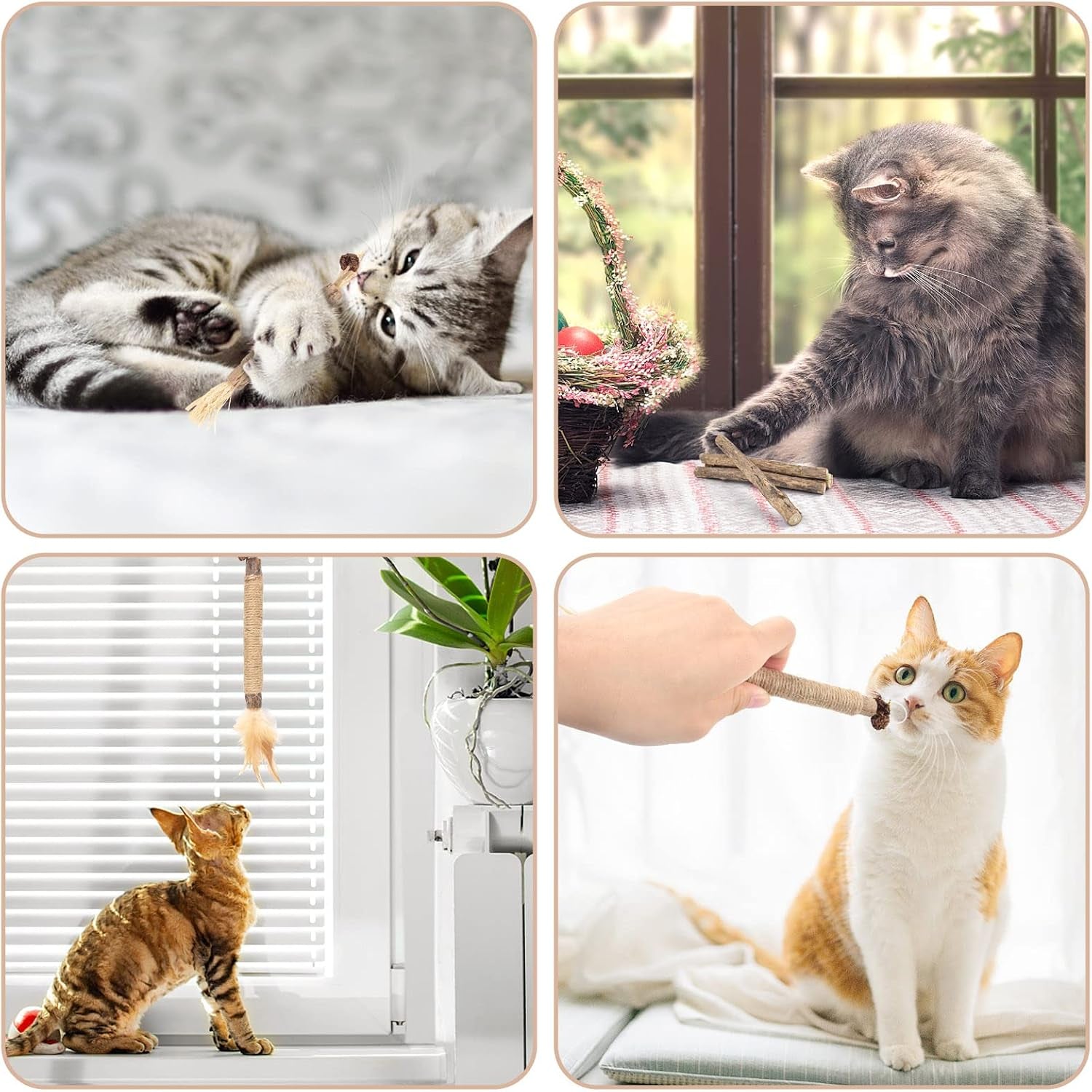 bissap-10-pcs-silvervine-chew-sticks-for-cats-catnip-chew-sticks-cat-toys-for-indoor-cat-kitten-teeth-grinding-interactive-feather-toys-for-aggressive-chewers-dental-care