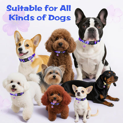 Kazazoo Dog Collar Cute and Soft Nylon Puppy Collar Girl Dogs, Adjustable Purple Dog Collars for Medium Dogs, Purple Flowers-M8