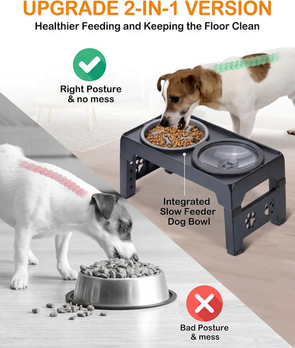 LALOBLUE Collapsible Dog Bowls Raised Elevated Adjust Stand | Elevated Dog Bowls, Dog Bowls Raised, Dog Bowls Elevated,5 Heights Adjustable Elevated Raised Dog Bowls Stand4
