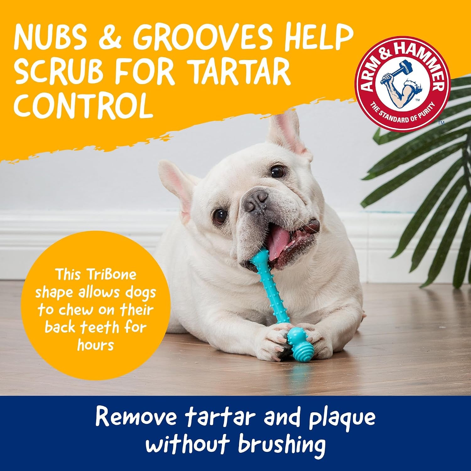 arm-and-hammer-nubbies-t-bone-dental-dog-chew-toy-with-peanut-butter-flavor-tpr-nubs-clean-teeth-and-gums-durable-nylon-chew-for-aggressive-chewers-helps-reduce-plaque-and-tartar