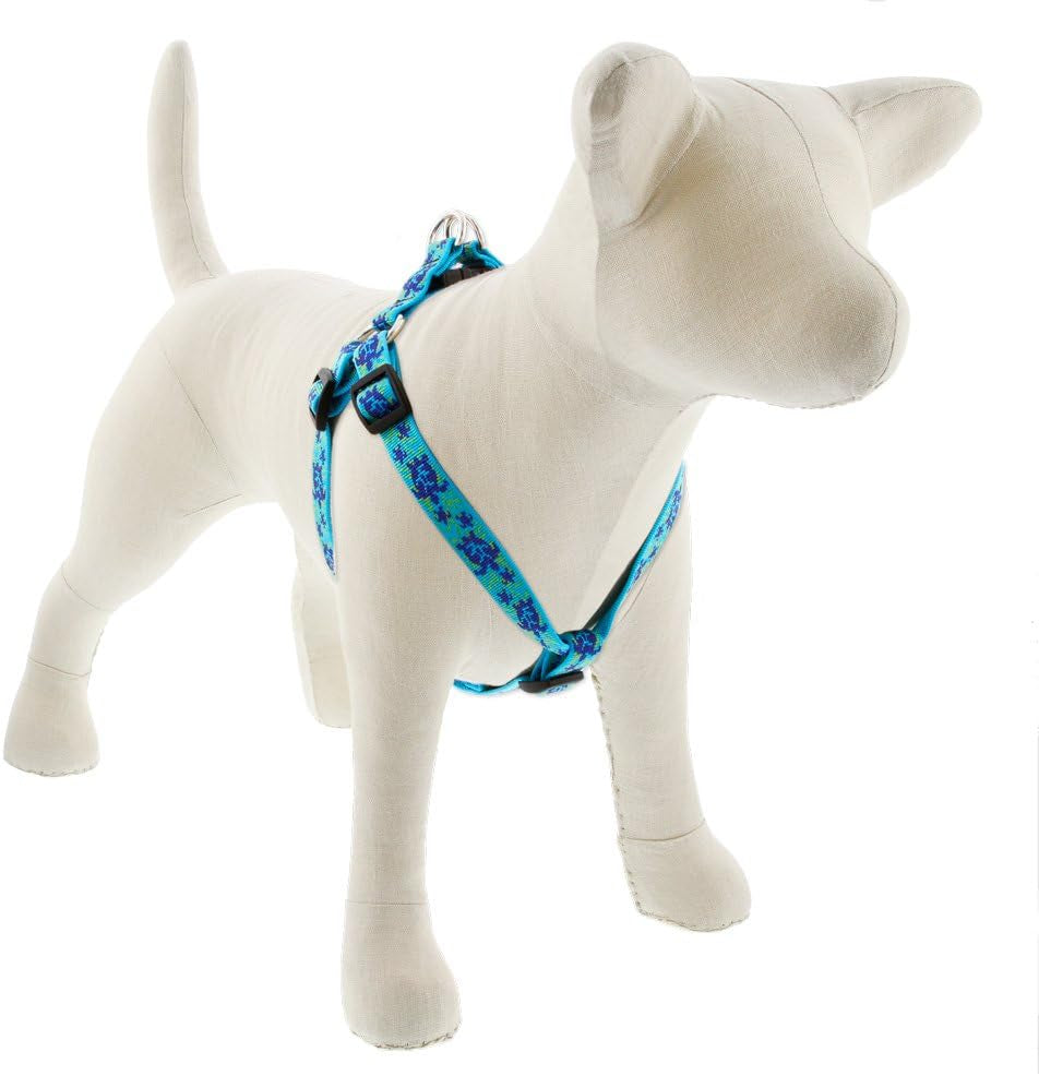 lupinepet-originals-3-4-turtle-reef-20-32-adjustable-roman-dog-harness-for-medium-dogs